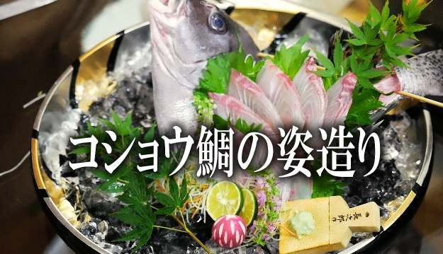 コショウダイの刺身 姿造り 田中ケンのプロの料理レシピ集と作り方 ケンズキッチン