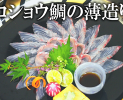 コショウダイ さばき方 の記事一覧 田中ケンのプロの料理レシピ集と作り方 ケンズキッチン