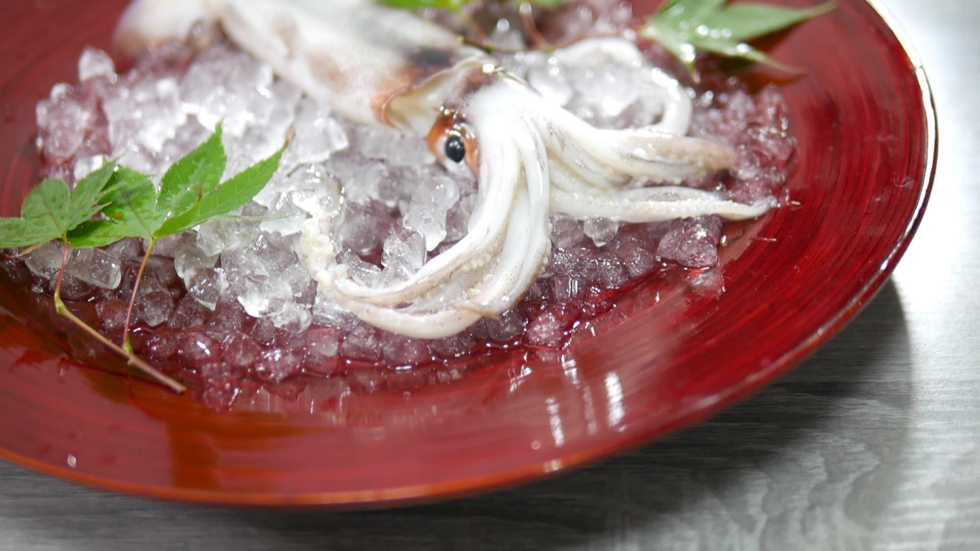 イカのさばき方と刺身の切り方 田中ケンのプロが作る簡単レシピ集と料理の作り方 ケンズキッチン